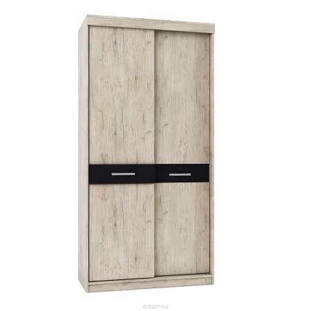 Шкаф-купе  Премьера 2-х дверн.